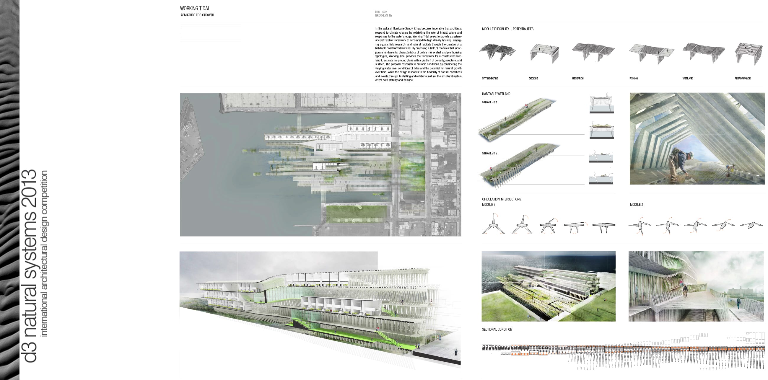 First Prize d3 Natural Systems 2013