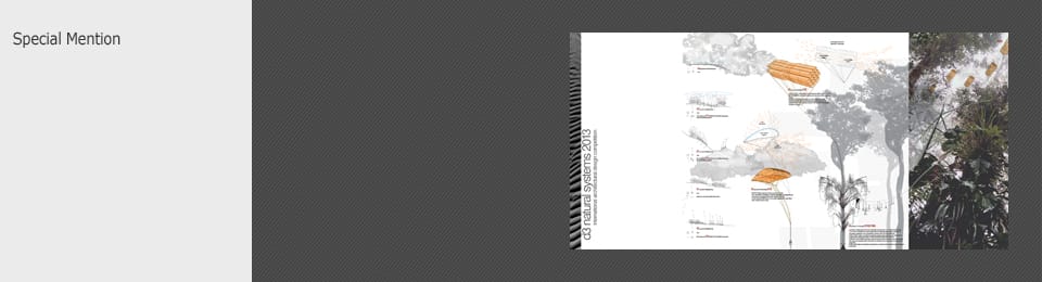 Competition Results d3 Natural Systems 2013