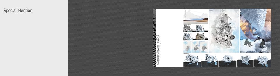 Competition Results d3 Natural Systems 2013
