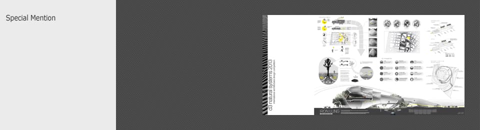 Competition Results d3 Natural Systems 2013