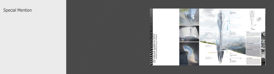 CompetitionResults d3 Natural Systems 2013
