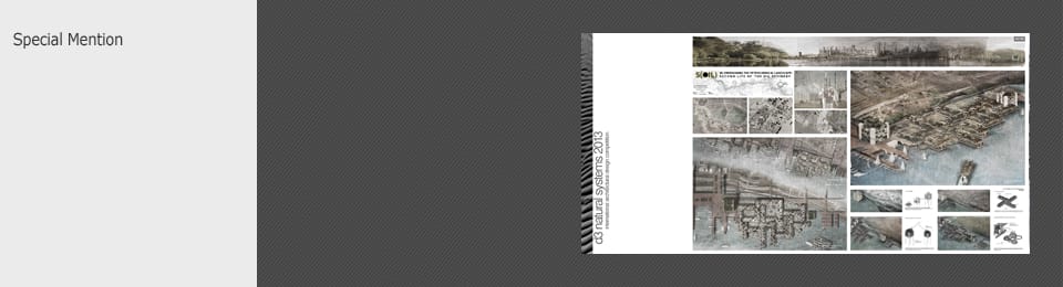 CompetitionResults d3 Natural Systems 2013