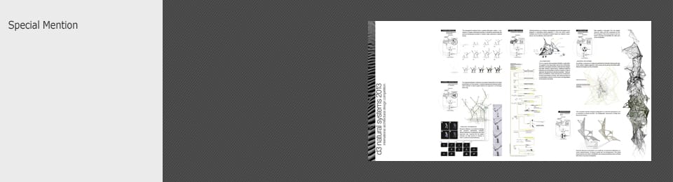 CompetitionResults d3 Natural Systems 2013