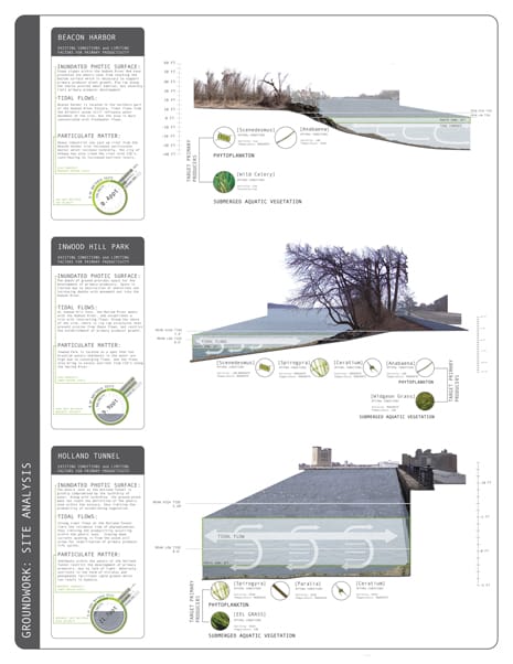 Winners of the Asla Students Awards 2013