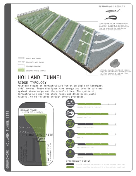 Winners of the Asla Students Awards 2013