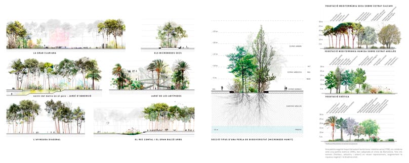 Canòpia Urbana - Ganador Concurso Plaza las Glorias Barcelona