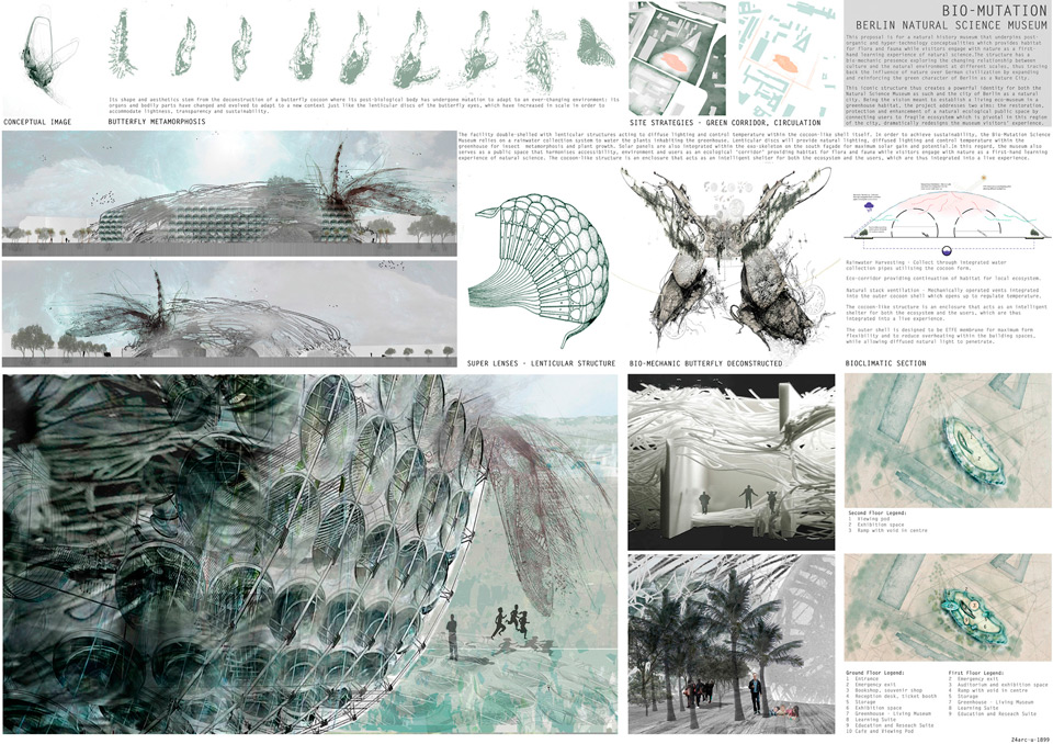 Announced the results of the Competition AWR Natural City