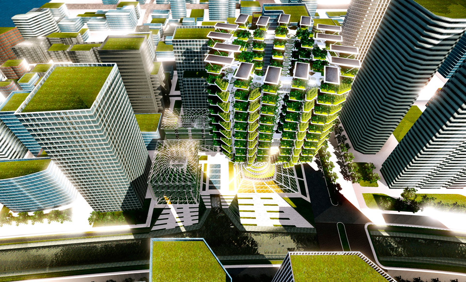 Winners of the 2014 WT Smartcity Award