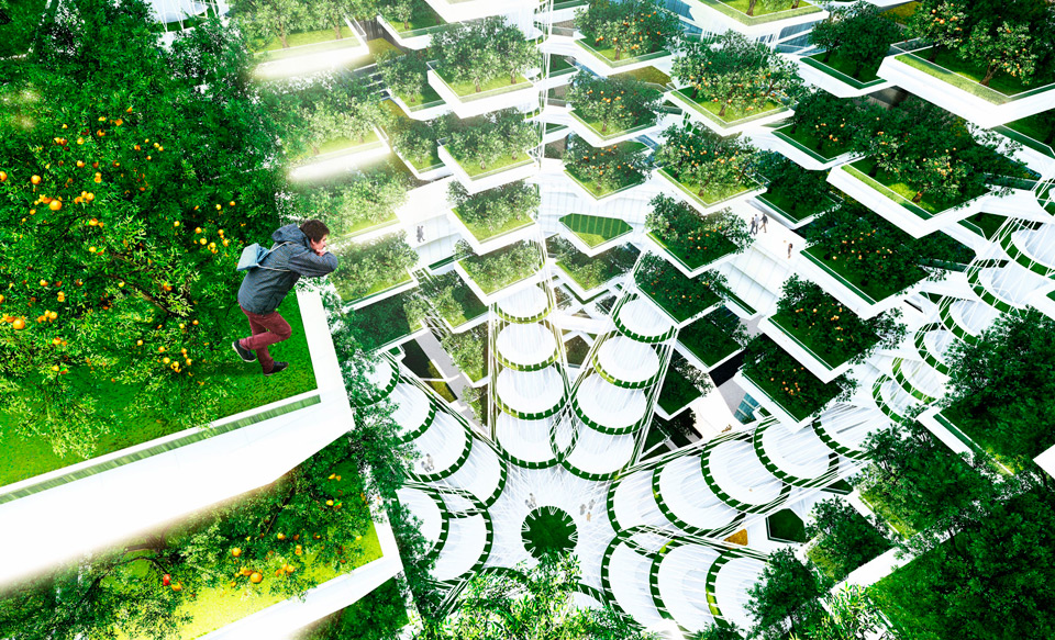Winners of the 2014 WT Smartcity Award