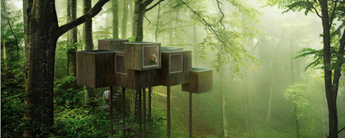Results of the Competition Triumph Architectural Treehouse Award 2014