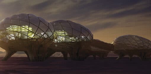 Resultados del Concurso 5th Advanced Architecture