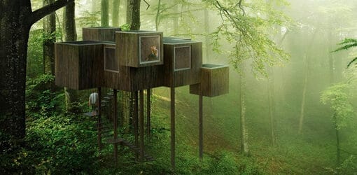 Resultados del Concurso Triumph Architectural Treehouse Award 2014