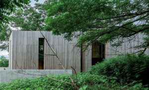 PLATINUM-WINNER-Forest-Archetype-Residential-Interior-Design-Genta-TAKANO-GLA-Japan-1.jpg