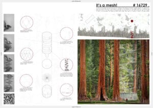 3RD_Its-a-mesh_BerasaluceCallejoMartinezMoreno_Spain.jpg